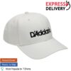 Daddario Store Merch D'addario Logo Hat
